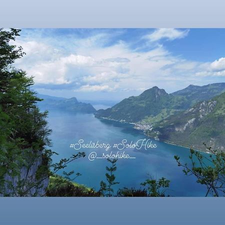 Schoene Ferienwohnung In Traumlage Fewo Solohike Seelisberg Dış mekan fotoğraf