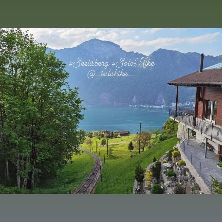 Schoene Ferienwohnung In Traumlage Fewo Solohike Seelisberg Dış mekan fotoğraf