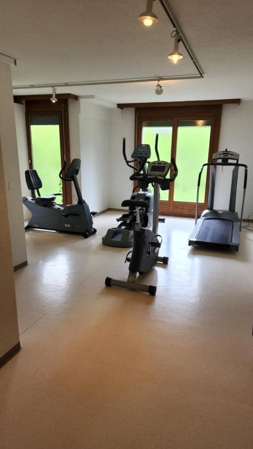 Schoene Ferienwohnung In Traumlage Fewo Solohike Seelisberg Dış mekan fotoğraf