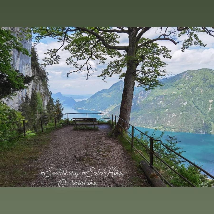 Schoene Ferienwohnung In Traumlage Fewo Solohike Seelisberg Dış mekan fotoğraf
